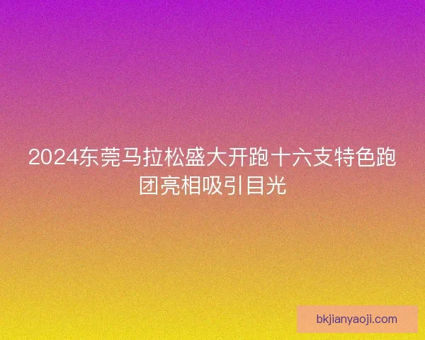 2024东莞马拉松盛大开跑十六支特色跑团亮相吸引目光